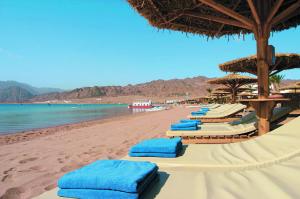 Hilton Dahab Resort	5*