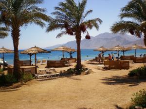 Hilton Dahab Resort	5*