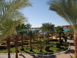 Iberotel Palace	5*
