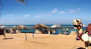 Dawar El Omda 4*