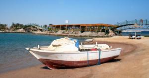 Desert Rose Resort 5*