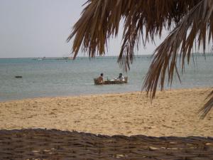 Zouara	3*