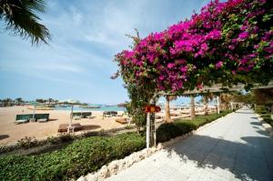 Shedwan Golden Beach	3*