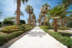 Shedwan Golden Beach	3*
