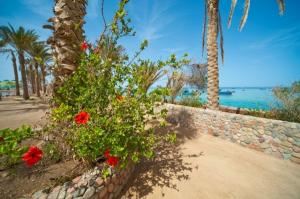 Shedwan Golden Beach	3*